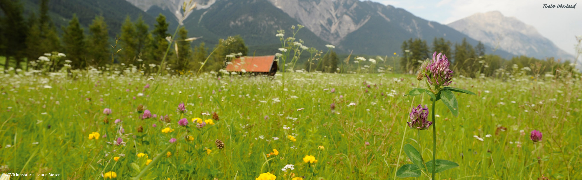 OTVB-Innsbruck_2011_872_Laurin-Moser_Tirol-Oberland