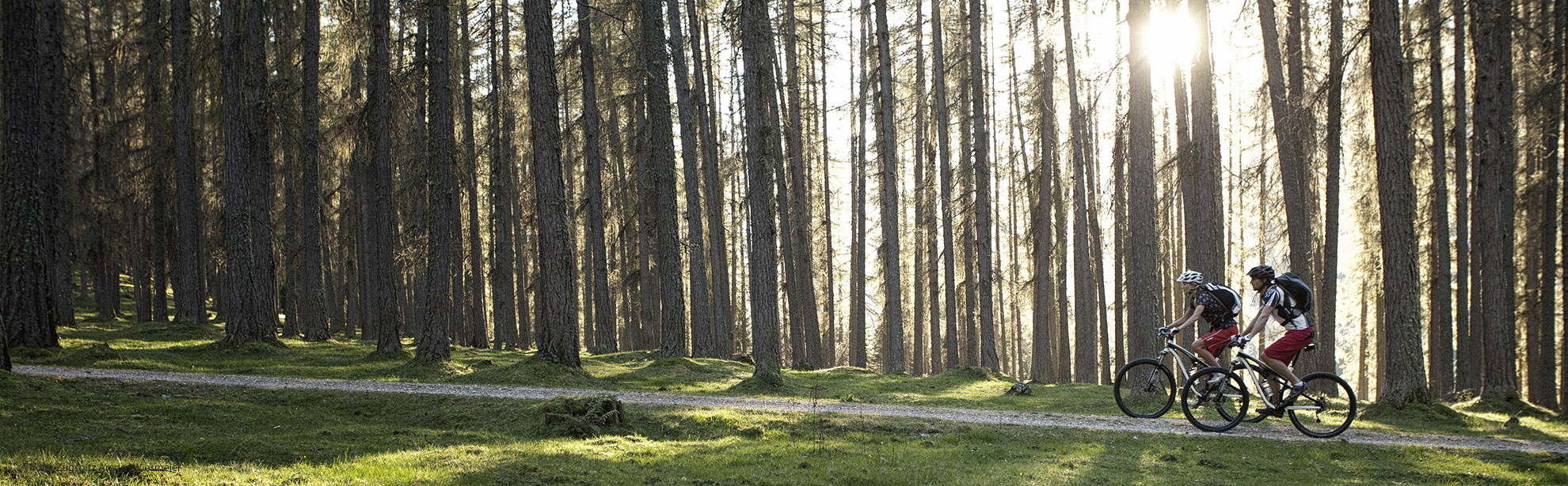 OMountainbike_Auffahrt_05Tiroler_Zugspitz_Arena_U_Wiesmeier